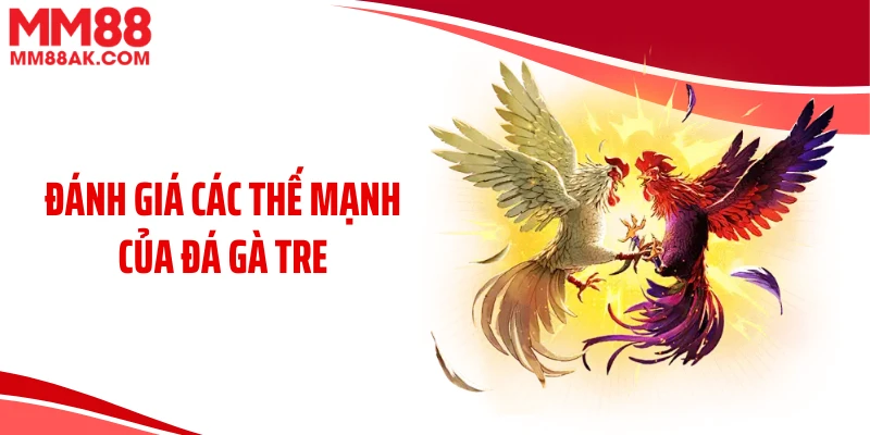 Đánh giá các thế mạnh của đá gà tre